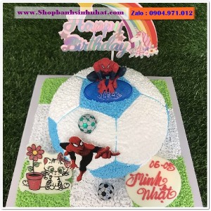 Bánh Sinh Nhật Siêu Nhân - US174